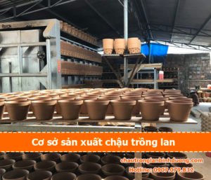 co-so-san-xuat-chau-lan-binh-duong (16)