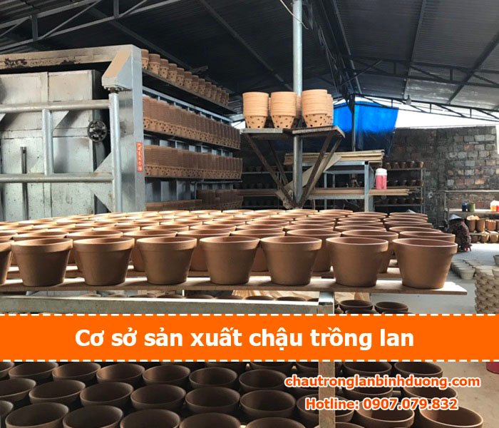 co-so-san-xuat-chau-lan-binh-duong (16)