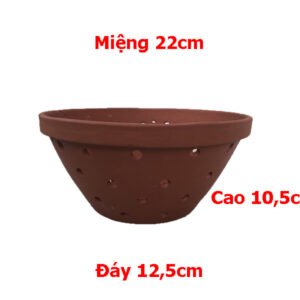 Miệng 22cm ,đáy 12,5cm,cao 10,5cm